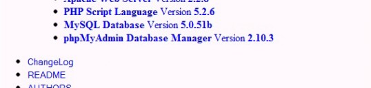 localhost