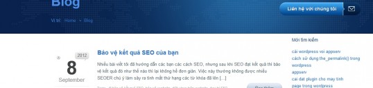 theme wordpress