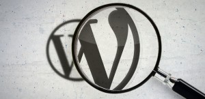 Page và post wordpress Logo