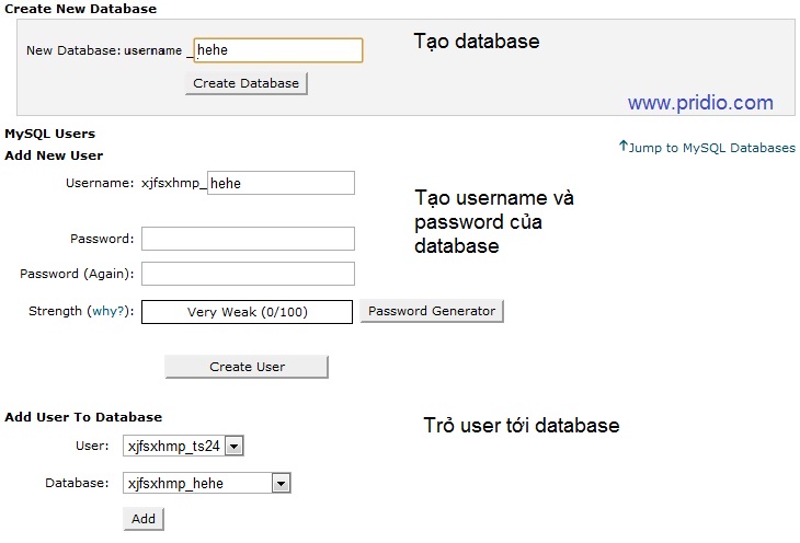 create database